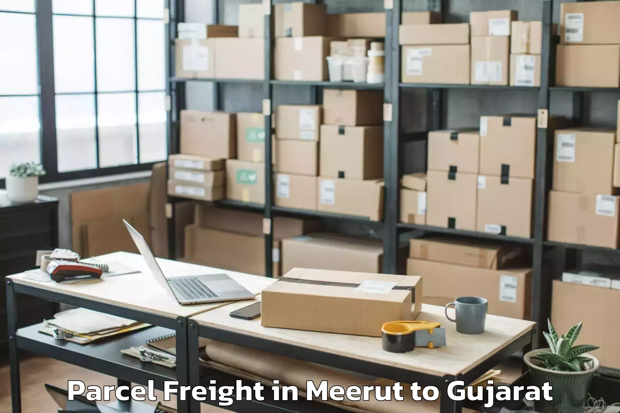 Book Meerut to Kaprada Parcel Freight Online